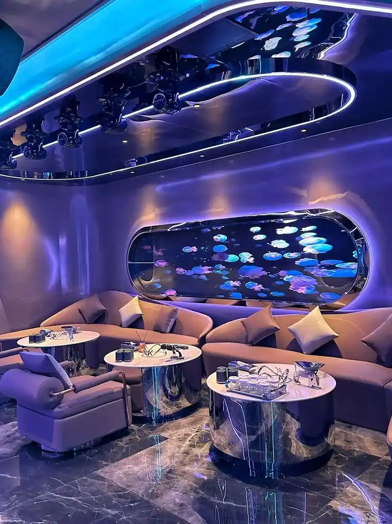 萍乡商务ktv每小时费用-芦溪县ktv预定